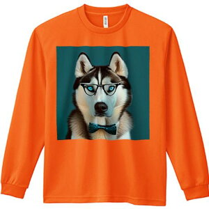 TVc lԗp Y Ht vg W[ AEghA JWA 킢 t@ Kl VxAnXL[ lN^C