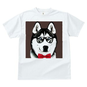 TVc fB[X t@  t  vg JWA 킢 lԗp tBbglX _X Kl VxAnXL[ ԂlN^C