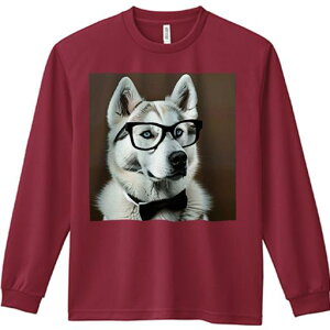 TVc lԗp Y Ht vg W[ AEghA JWA 킢 t@ Kl nXL[ lN^C 