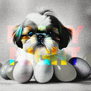  V[Y[ mN NbVJo[ 45×45cm Aj}   NbV{̕t ` t@