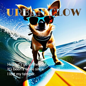 T[t{[h ` ዾ C g NbVJo[ 45×45cm Aj}   NbV{̕t ` t@