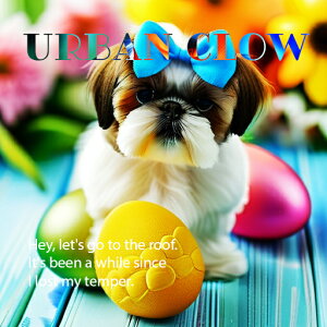 { V[Y[ C[X^[GbO  ؂̃e[u NbVJo[ 45×45cm Aj}   NbV{̕t ` t@