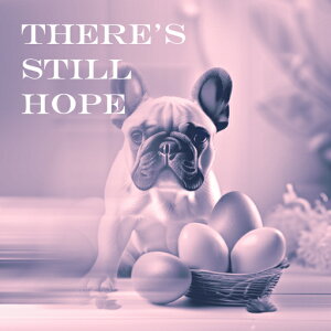  t`uhbO ܂ NbVJo[ 45×45cm Aj}   NbV{̕t ` t@