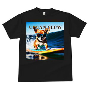 TVc fB[X t@  t  vg JWA 킢 lԗp tBbglX _X TOX ` T[t{[h g C eLXg