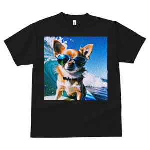 TVc fB[X t@  t  vg JWA 킢 lԗp tBbglX _X TOX ` g T[tB