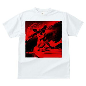 TVc fB[X t@  t  vg JWA 킢 lԗp tBbglX _X TOX ` T[t{[h g XvbV