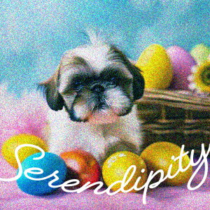 Jtȗ V[Y[   NbVJo[ 45×45cm Aj}   NbV{̕t ` t@