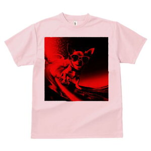 TVc Y LbY t@  t  vg JWA 킢 lԗp tBbglX _X TOX ` T[tB g C