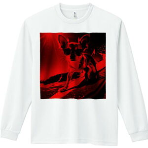 TVc lԗp Y Ht vg W[ AEghA JWA 킢 t@ T[t{[h ` TOX g