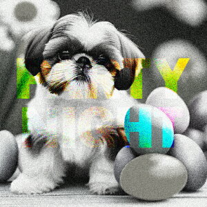  V[Y[  NbVJo[ 45×45cm Aj}   NbV{̕t ` t@