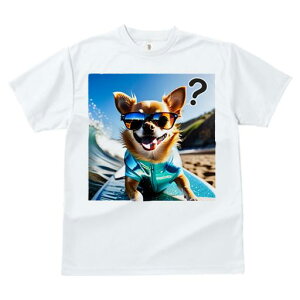 TVc fB[X t@  t  vg JWA 킢 lԗp tBbglX _X T[t{[h ` TOX r[` C