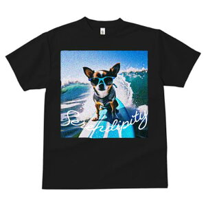 TVc fB[X t@  t  vg JWA 킢 lԗp tBbglX _X TOX ` T[tB C g 