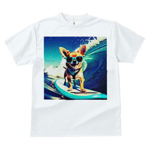 TVc fB[X t@  t  vg JWA 킢 lԗp tBbglX _X T[t{[h ` TOX g C