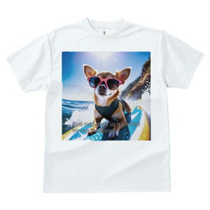 TVc fB[X t@  t  vg JWA 킢 lԗp tBbglX _X TOX ` T[t{[h C