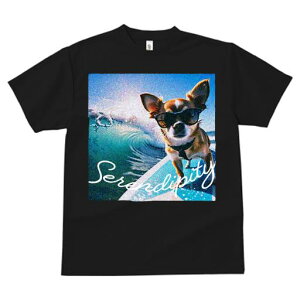 TVc fB[X t@  t  vg JWA 킢 lԗp tBbglX _X T[tB ` C TOX g