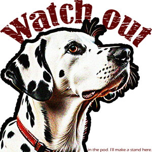  _VA  NbVJo[ 45×45cm Aj}   NbV{̕t ` t@