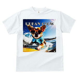 TVc fB[X t@  t  vg JWA 킢 lԗp tBbglX _X TOX ` T[tB C g z