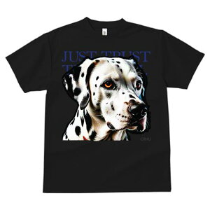 T�V���c ���f�B�[�X ���t�@�� ���� �t�� ���� �v�����g �J�W���A�� ���킢�� �l�ԗp �t�B�b�g�l�X �_���X JUST �_�����V�A�� TRUST �e�L�X�g