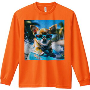 TVc lԗp Y Ht vg W[ AEghA JWA 킢 t@ TOX ` T[t{[h g 