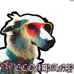 TOX ̑ Kl Jt NbVJo[ 45×45cm Aj}   NbV{̕t ` t@