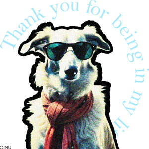 TOX {]C }t[  t@bV NbVJo[ 45×45cm Aj}  NbV{̕t ` t@