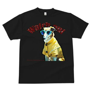 TVc fB[X t@  t  vg JWA 킢 lԗp tBbglX _X TOX ̑ CR[g W