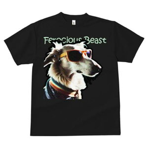 TVc fB[X t@  t  vg JWA 킢 lԗp tBbglX _X TOX ̑   Kl t@bV