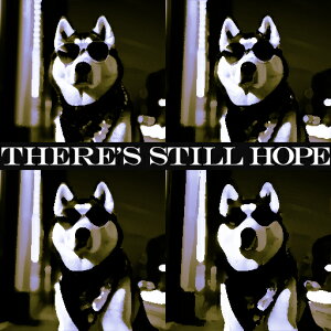 TOX VxAnXL[ XJ[t EC ] NbVJo[ 45×45cm Aj}   NbV{̕t ` t@