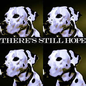 ] _VA EC G敗 NbVJo[ 45×45cm Aj}   NbV{̕t ` t@