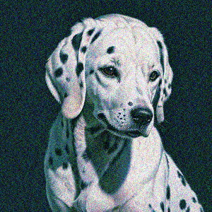 �Ȃ� �_�����V�A�� �N�b�V�����J�o�[ 45×45cm �A�j�}���� ������� ���� �N�b�V�����{�̕t�� �����` ���t�@��