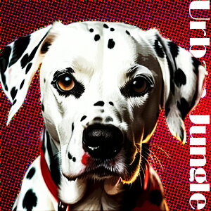 Ԃ _VA Ԃƍ̔wi |bvA[gX^C NbVJo[ 45×45cm Aj}   NbV{̕t ` t@