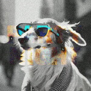 TOX s p[eB[ }t[ NbVJo[ 45×45cm Aj}   NbV{̕t ` t@