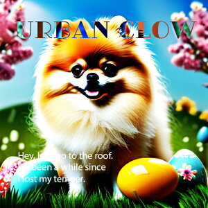 C[X^[GbO |jA  NbVJo[ 45×45cm Aj}   NbV{̕t ` t@