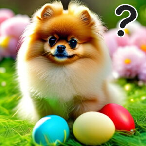  |jA  NbVJo[ 45×45cm Aj}   NbV{̕t ` t@