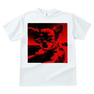 TVc fB[X t@  t  vg JWA 킢 lԗp tBbglX _X TOX ` T[tB C g 