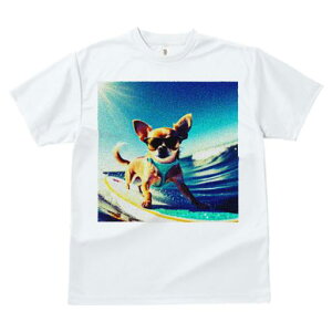 TVc fB[X t@  t  vg JWA 킢 lԗp tBbglX _X T[t{[h ` TOX g C 