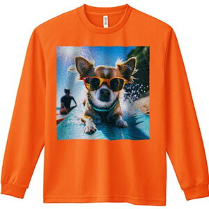 TVc lԗp Y Ht vg W[ AEghA JWA 킢 t@ TOX ` T[tB r[` g 