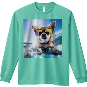 TVc lԗp Y Ht vg W[ AEghA JWA 킢 t@ T[tB ` TOX  g C