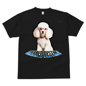 TVc fB[X t@  t  vg JWA 킢 lԗp tBbglX _X ԂKl v[h