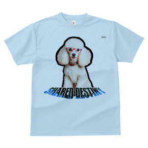 TVc Y LbY t@  t  vg JWA 킢 lԗp tBbglX _X ԂKl v[h