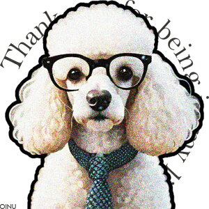 ዾ v[h lN^C bZ[W NbVJo[ 45×45cm Aj}   NbV{̕t ` t@