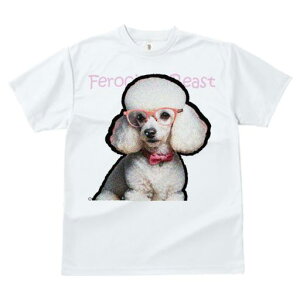 TVc fB[X t@  t  vg JWA 킢 lԗp tBbglX _X Kl v[h | { 