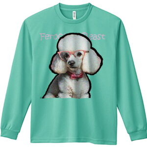 TVc lԗp Y Ht vg W[ AEghA JWA 킢 t@ Kl v[h | { 