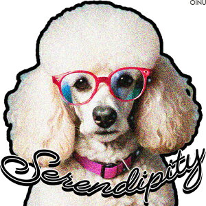 Kl v[h J[ }t[ NbVJo[ 45×45cm Aj}   NbV{̕t ` t@