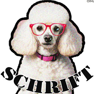 ዾ v[h J[ t@bV NbVJo[ 45×45cm Aj}   NbV{̕t ` t@