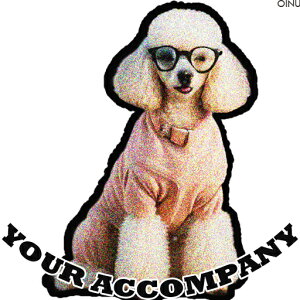 ዾ v[h  NbVJo[ 45×45cm Aj}   NbV{̕t ` t@