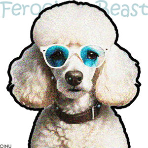 ዾ v[h   NbVJo[ 45×45cm Aj} NbV{̕t ` t@