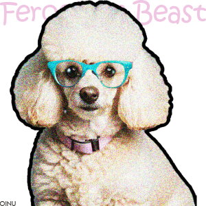 Kl v[h   ANZT[ NbVJo[ 45×45cm Aj} NbV{̕t ` t@