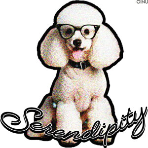 ዾ v[h JCC K^ NbVJo[ 45×45cm Aj}   NbV{̕t ` t@