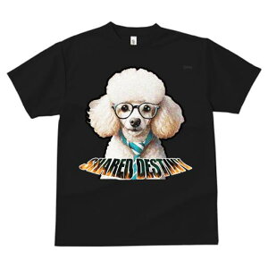 TVc fB[X t@  t  vg JWA 킢 lԗp tBbglX _X Kl v[h lN^C